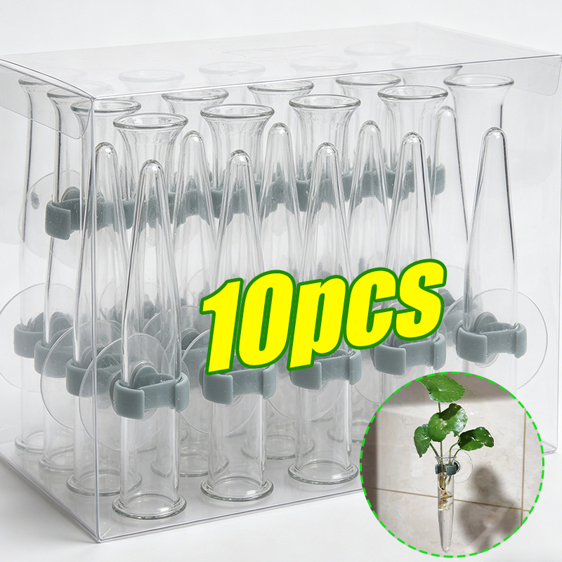 Tubi per Fiori da 11cm, Conten - Nutrition & Fitness Hub recensione e prezzo