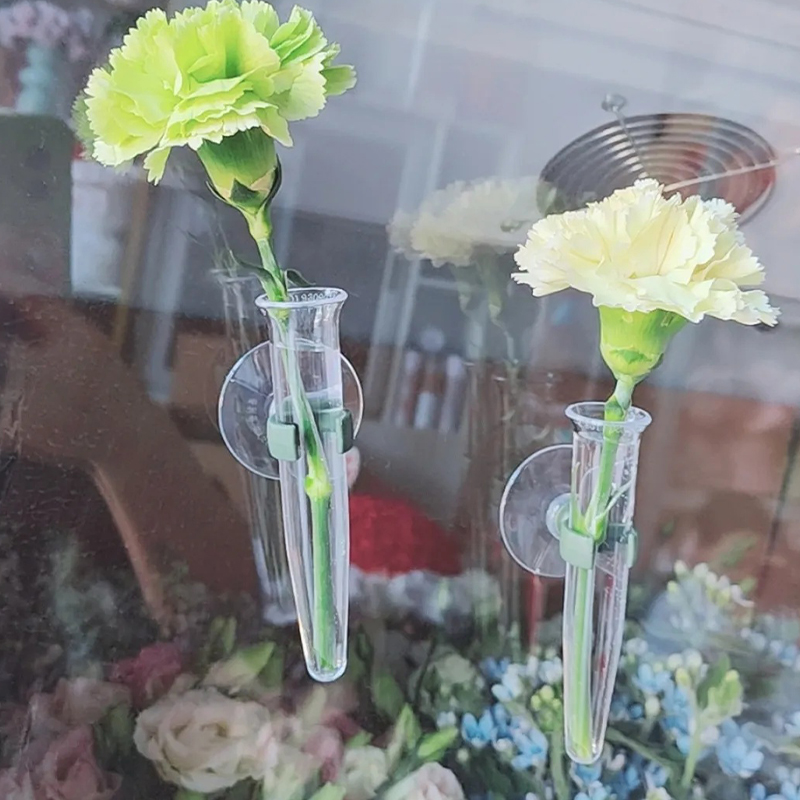 Tubi per Fiori da 11cm, Conten - Nutrition & Fitness Hub recensione e prezzo
