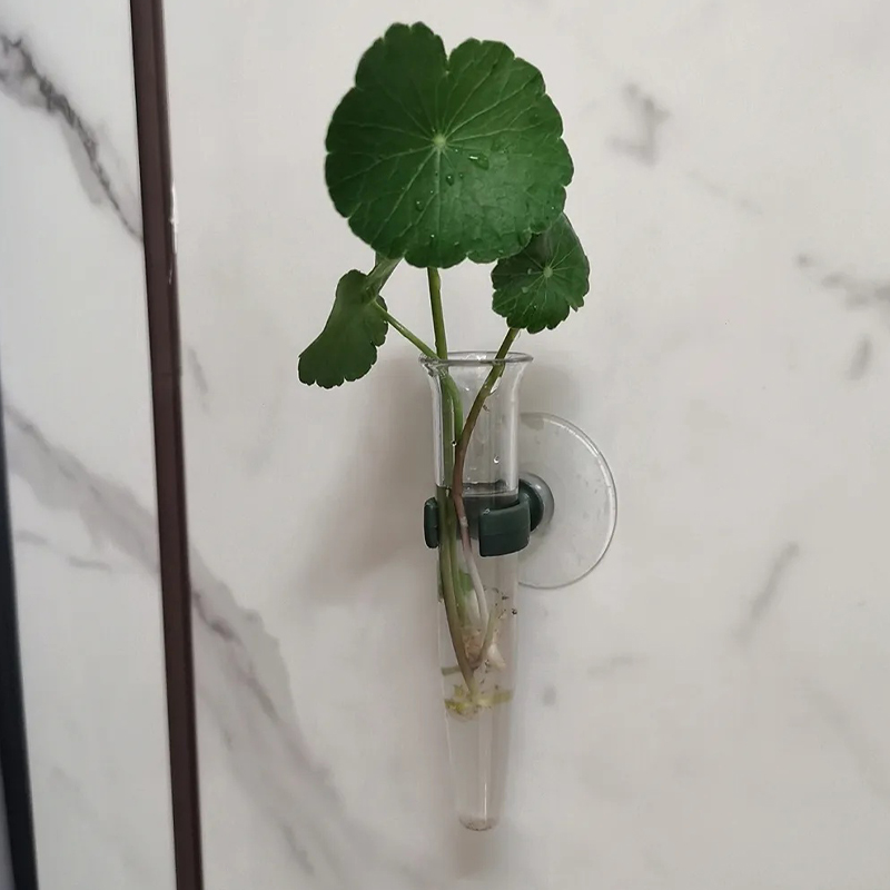 Tubi per Fiori da 11cm, Conten - Nutrition & Fitness Hub recensione e prezzo