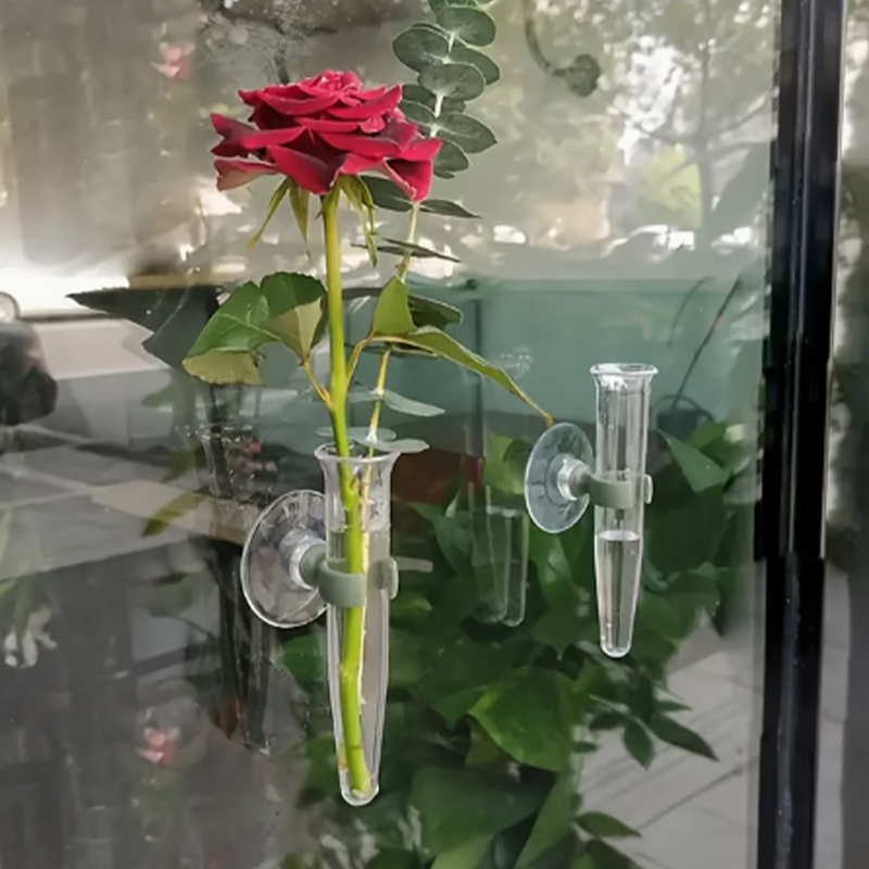 Tubi per Fiori da 11cm, Conten - Nutrition & Fitness Hub recensione e prezzo