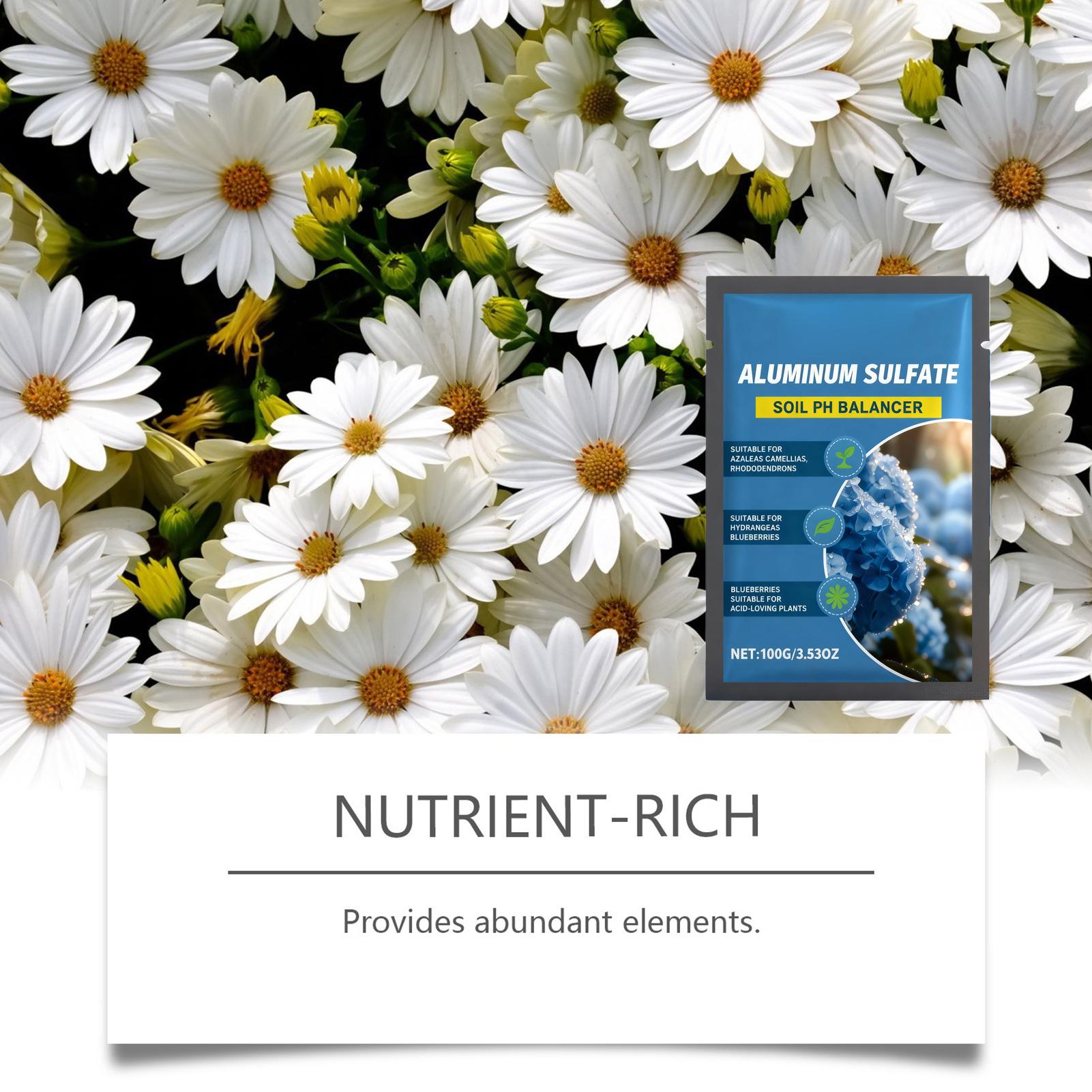 Acido Concentrato PH Down: Int - Nutrition & Fitness Hub recensione e prezzo