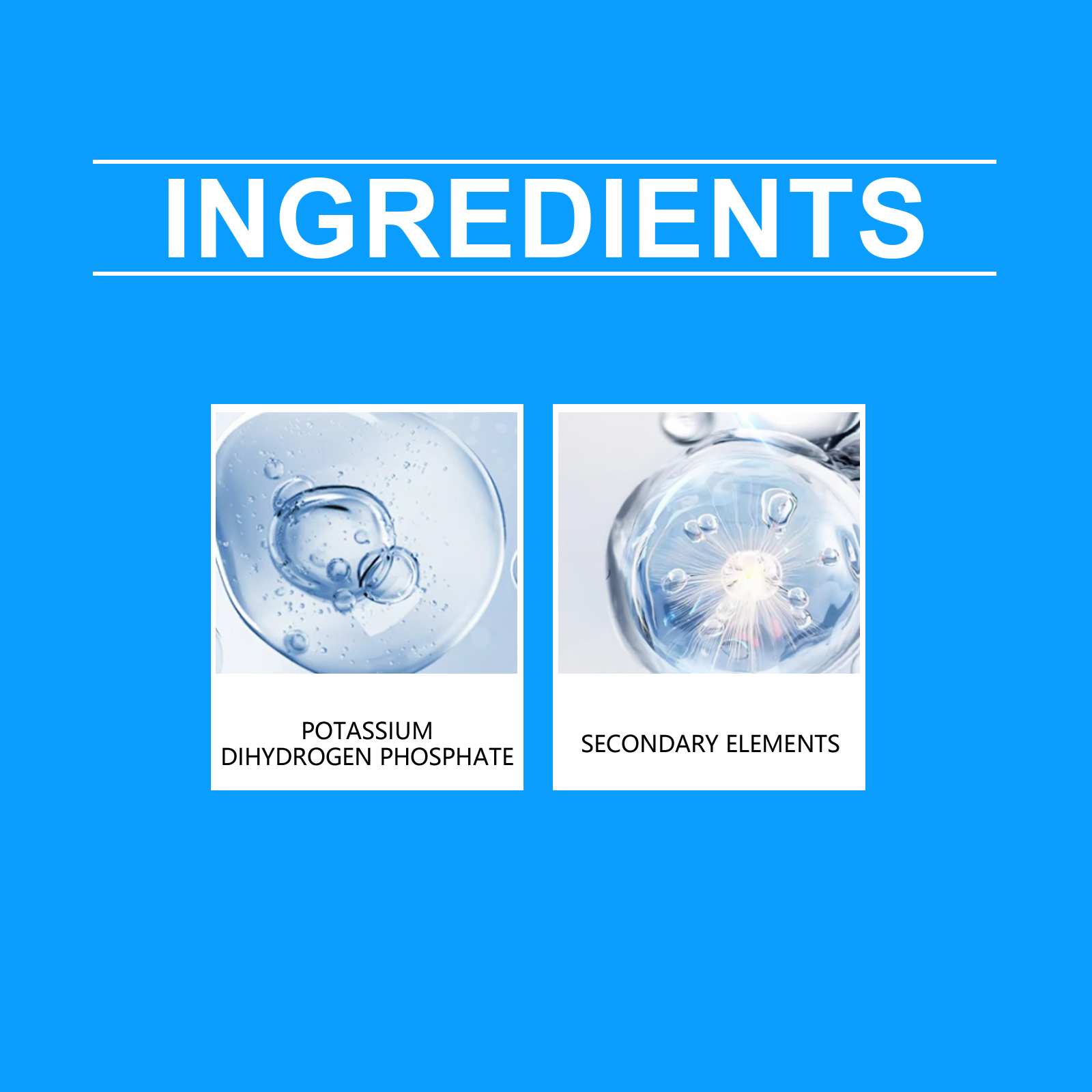 Soluzione nutriente per fiori  - Nutrition & Fitness Hub recensione e prezzo